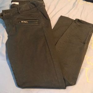 Loft Olive Green Pants